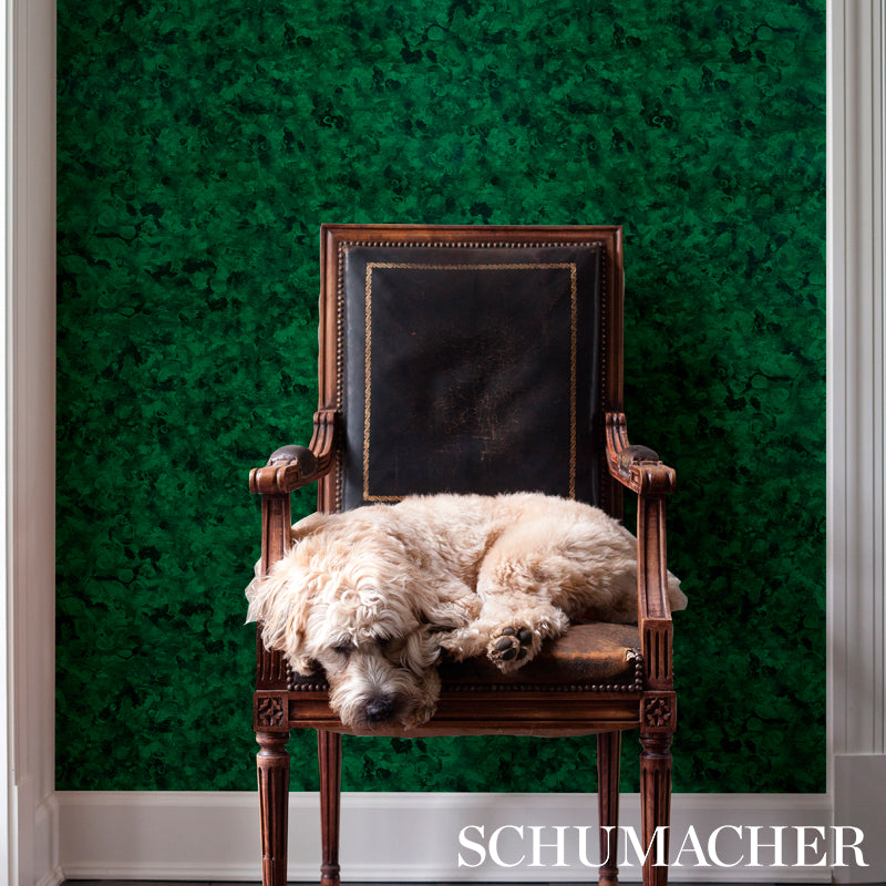 Antique wooden armchair with carved legs and black leather seat; fluffy light dog lounging by green textured wall.