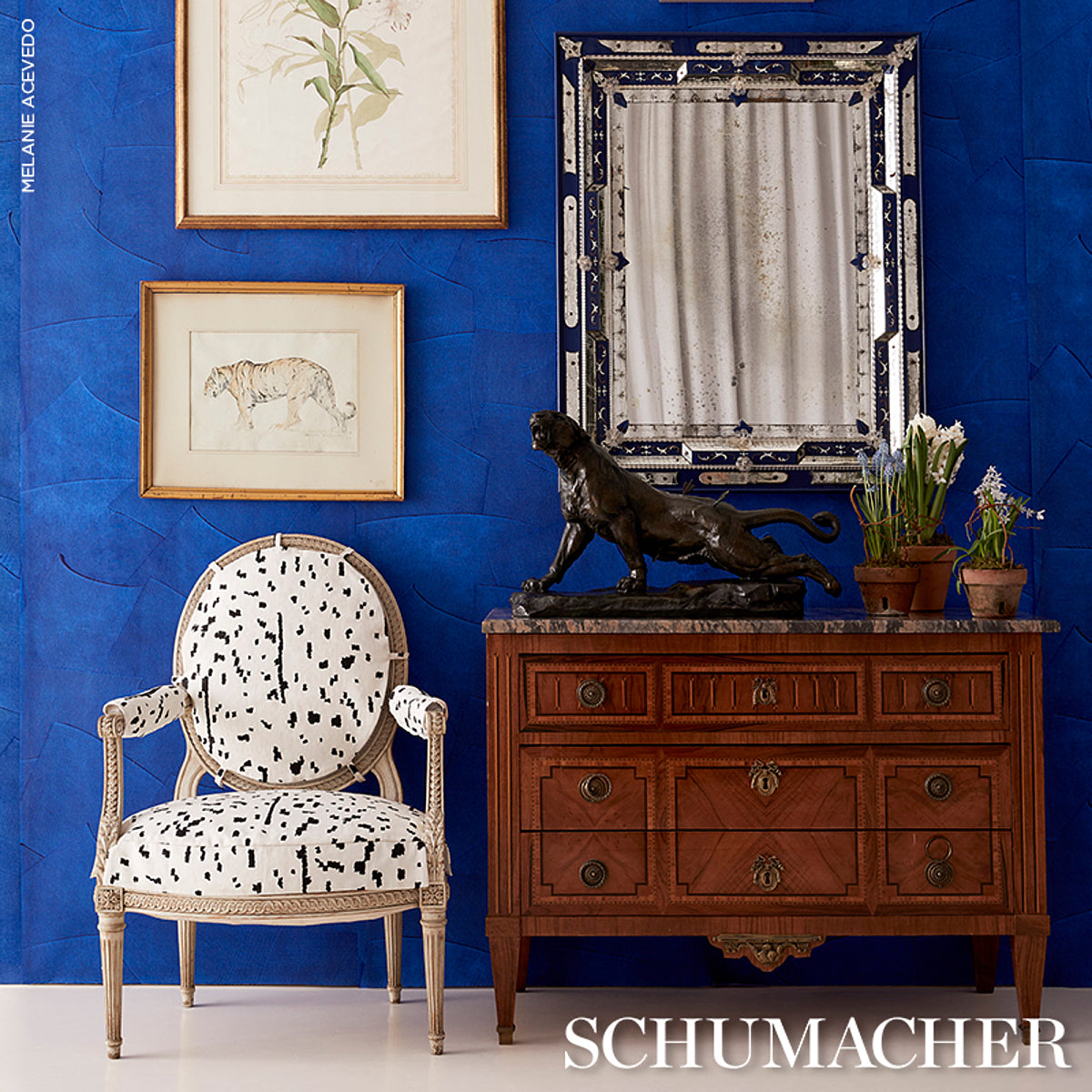 Bright blue wall with art, ornate silver mirror, wooden dresser, dalmatian-patterned chair, black dog statue, potted plants.