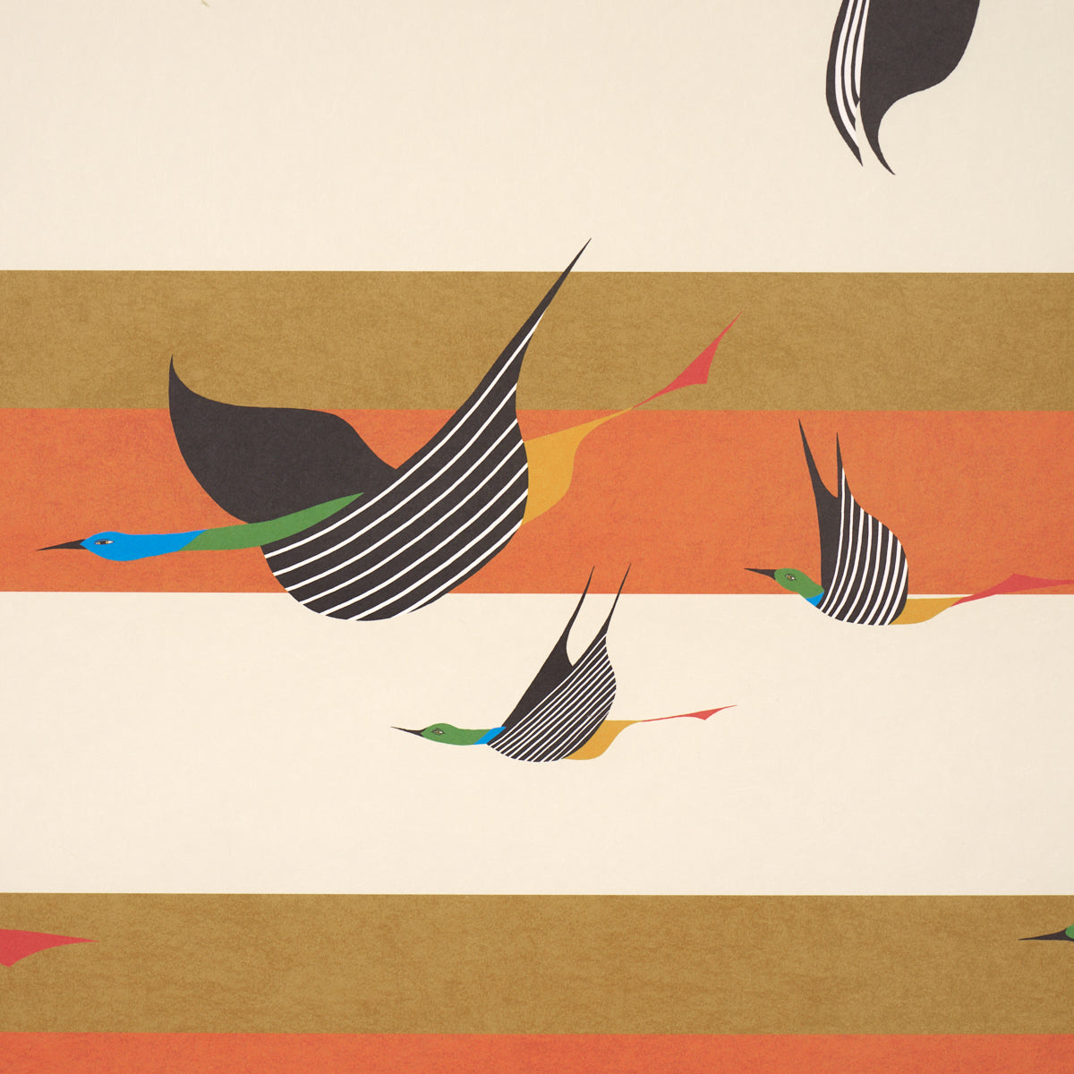 SCHUMACHER PERENNIAL FAVORITES FLYING WEST ORANGE - 5015852