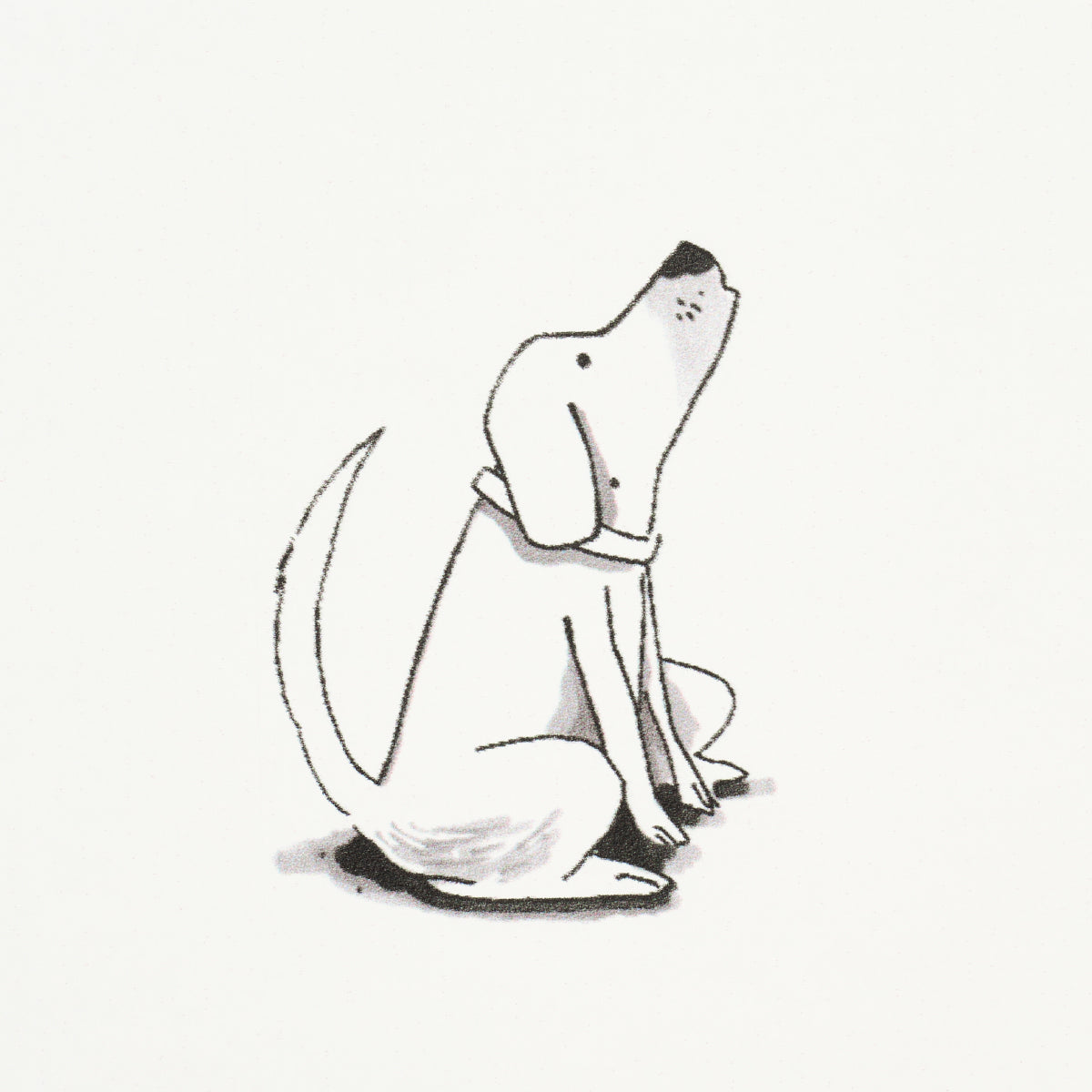 SCHUMACHER THE NEW YORKER GOOD DOGS EVERYWHERE BLACK , WHITE - 5016130