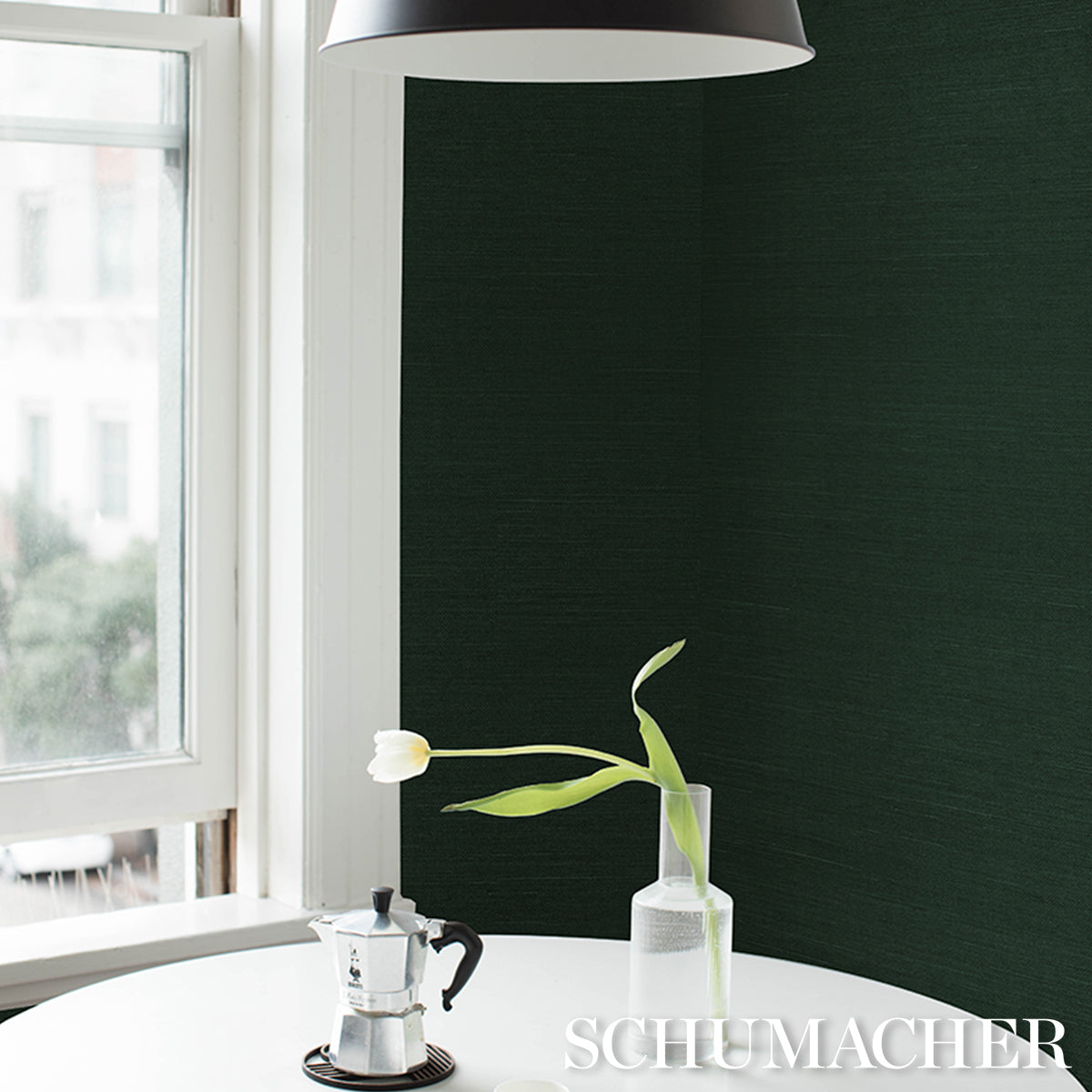 SCHUMACHER BACKDROP HARUKI SISAL KISMET - 5016855