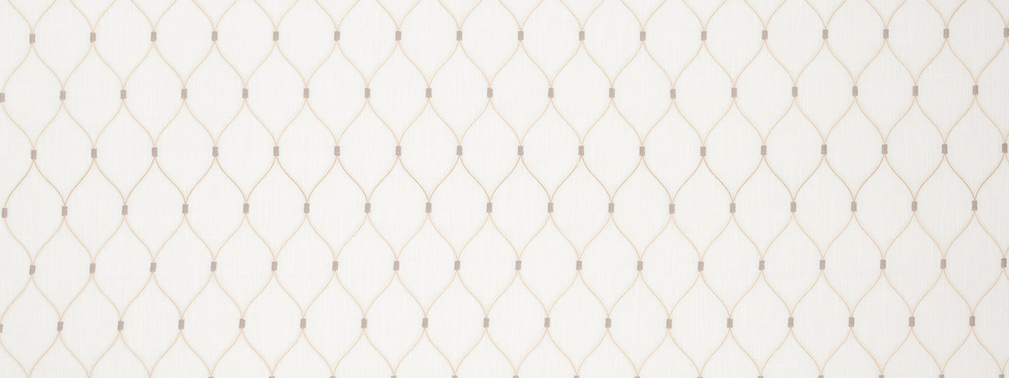 Robert Allen Traliccio | Oyster Drapery - 515460