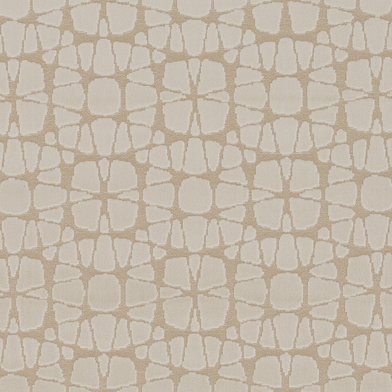 Duralee Dv61813 | 88-Champagne Multipurpose - 515910