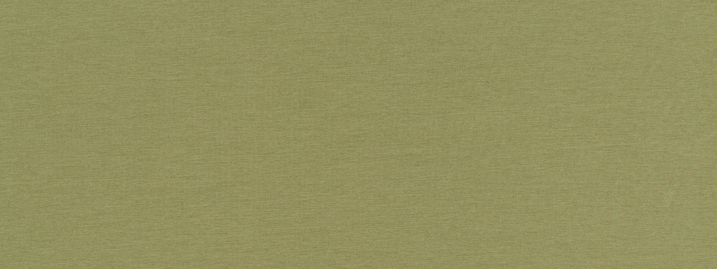 Robert Allen Contract Ardenvoir | Edamame Multipurpose - 517773