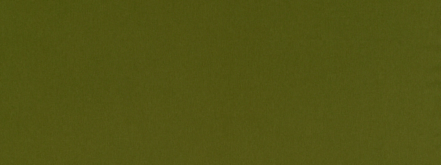 Robert Allen Contract Chelan Falls | Fern Multipurpose - 517800