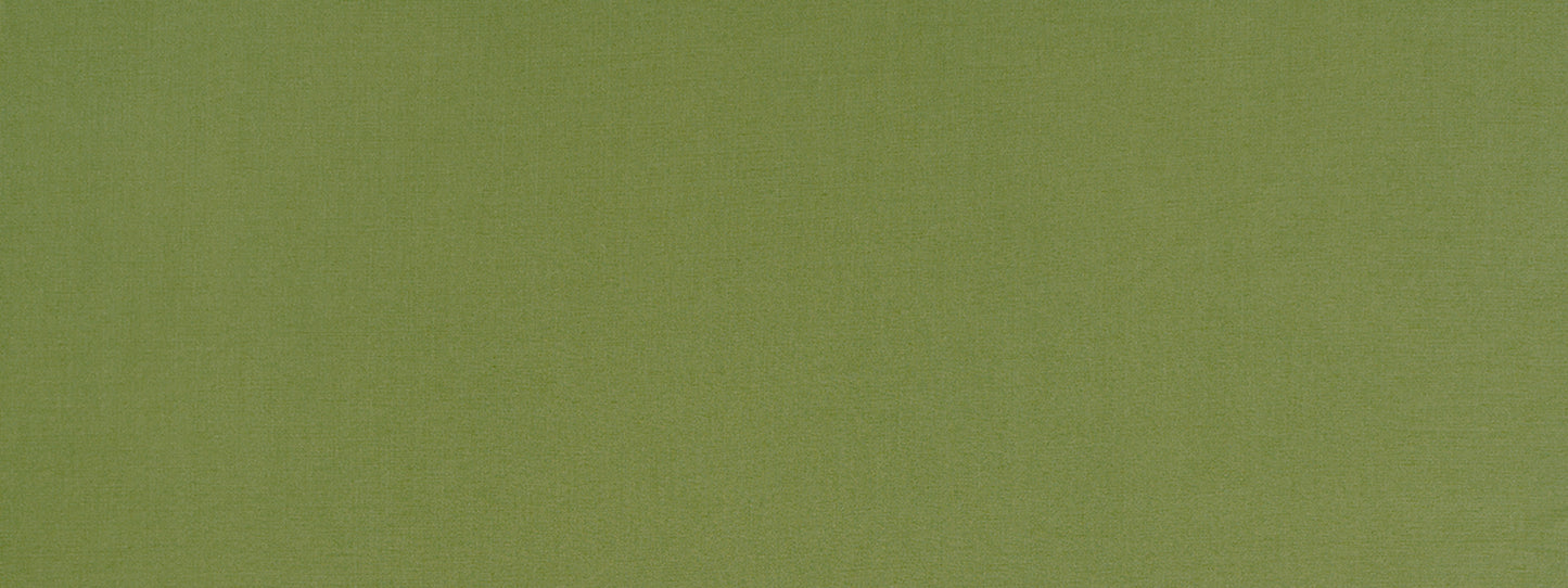 Robert Allen Contract Halmore Lane | Edamame Multipurpose - 517832