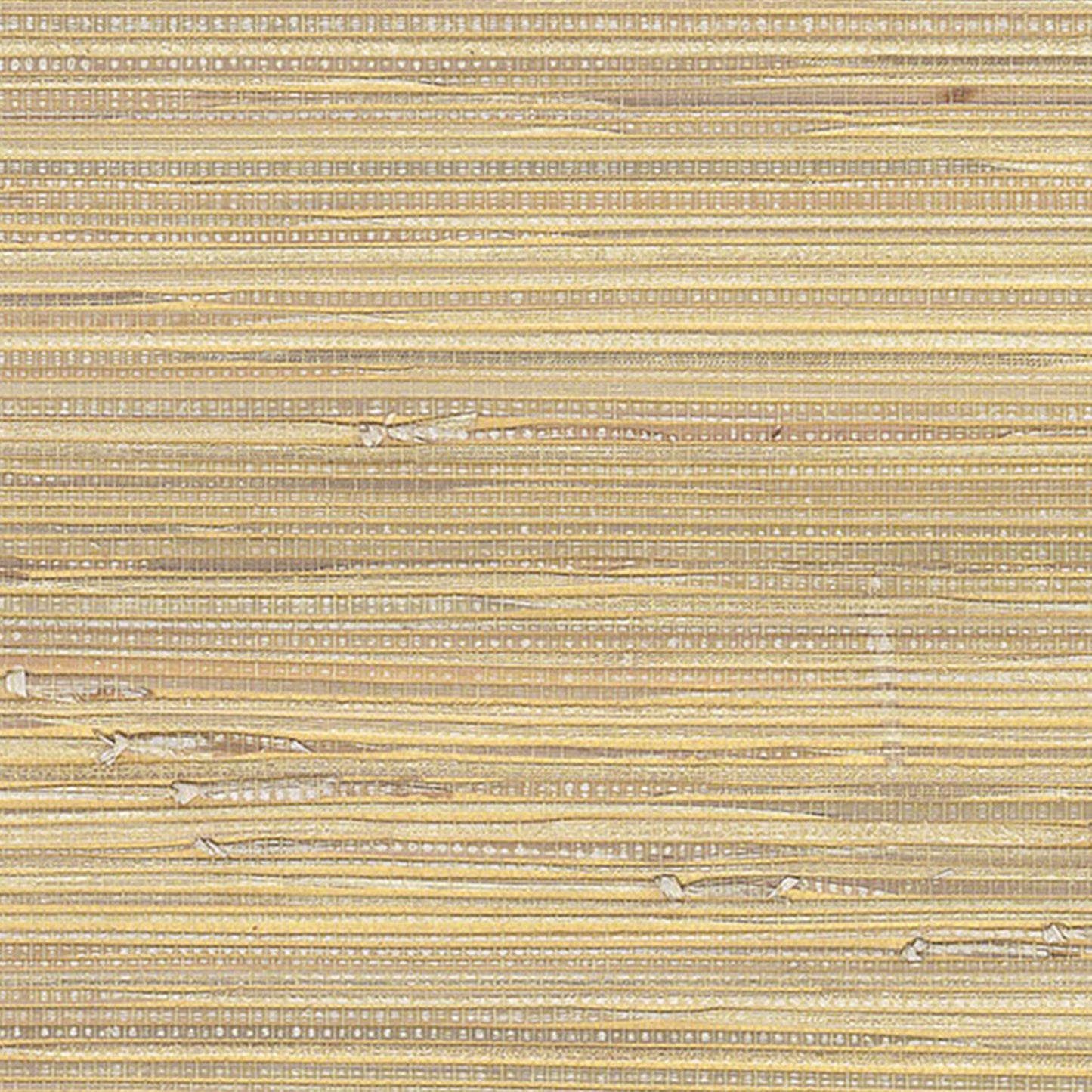 Beige and gold-toned woven grasscloth wallpaper texture with thin horizontal stripes.