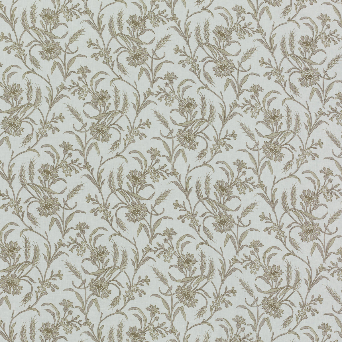 SCHUMACHER RAOUL TEXTILES CECILE PRINTS PRINTS DRIFTWOOD - 612B95