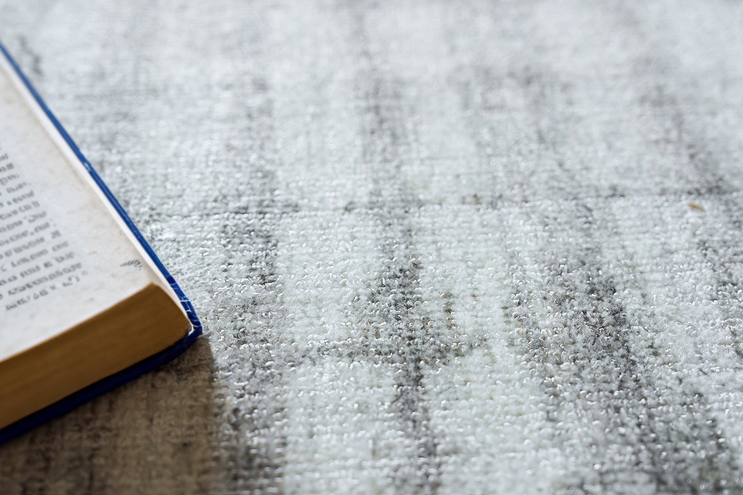 Blue-edged rug on a light gray textured surface.