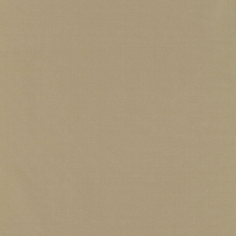 Solid beige fabric with a subtle canvas texture, versatile for upholstery or apparel.