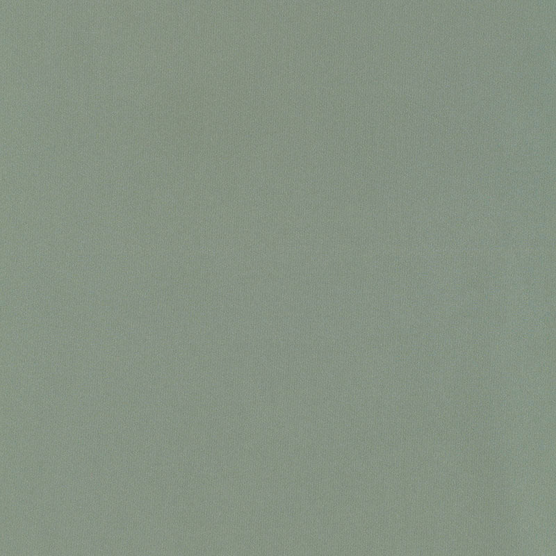 SCHUMACHER PERFECT BASICS: SILK & TAFFETA GIORDANO TAFFETA PLAINS,HIGH PERFORMANCE PLAINS,HIGH PERFORMANCE SPANISH MOSS - 63965