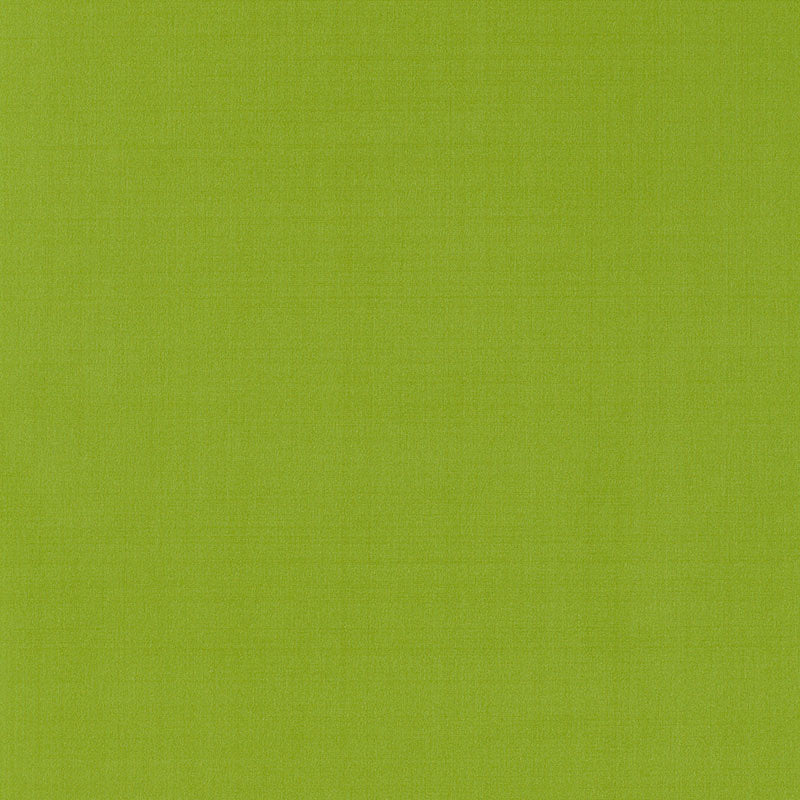 SCHUMACHER PERFECT BASICS: SILK & TAFFETA GIORDANO TAFFETA CUT VELVET CUT VELVET LIME - 63969
