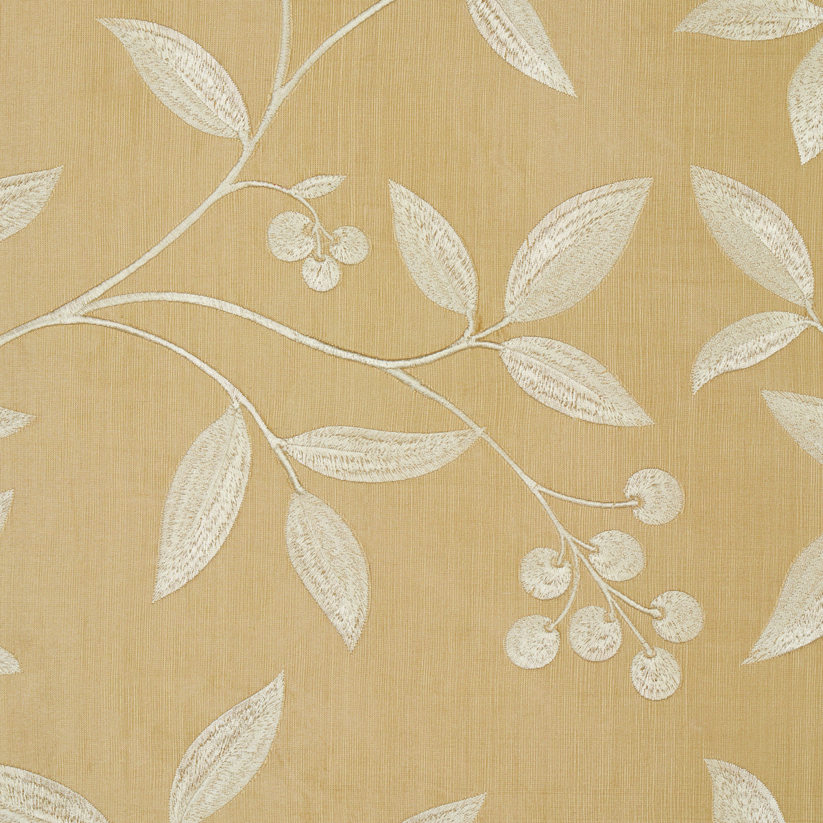 SCHUMACHER CHROMA Adelaide Embroidery EMBROIDERIES EMBROIDERIES BLONDE - 64331
