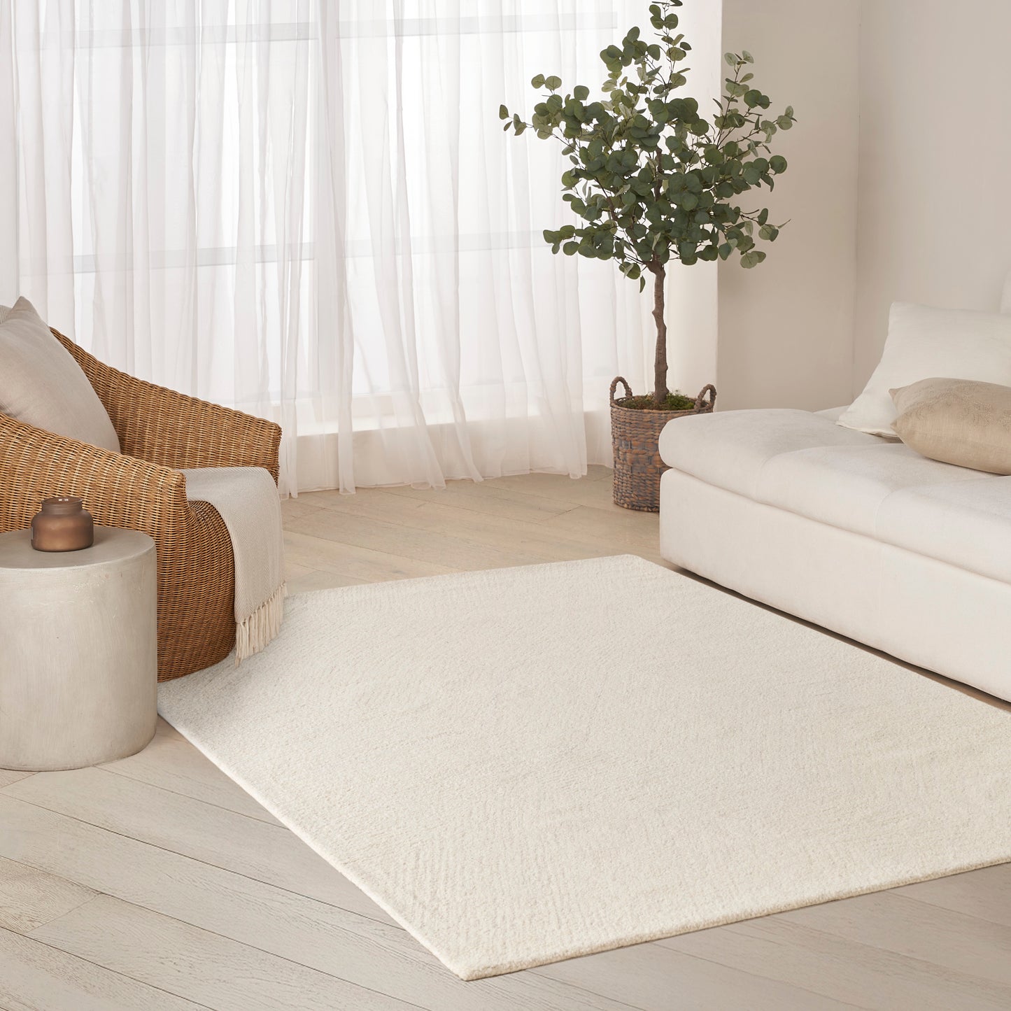 Cream rectangular area rug in a bright living room with white sofa, wicker chair, and potted plant.
