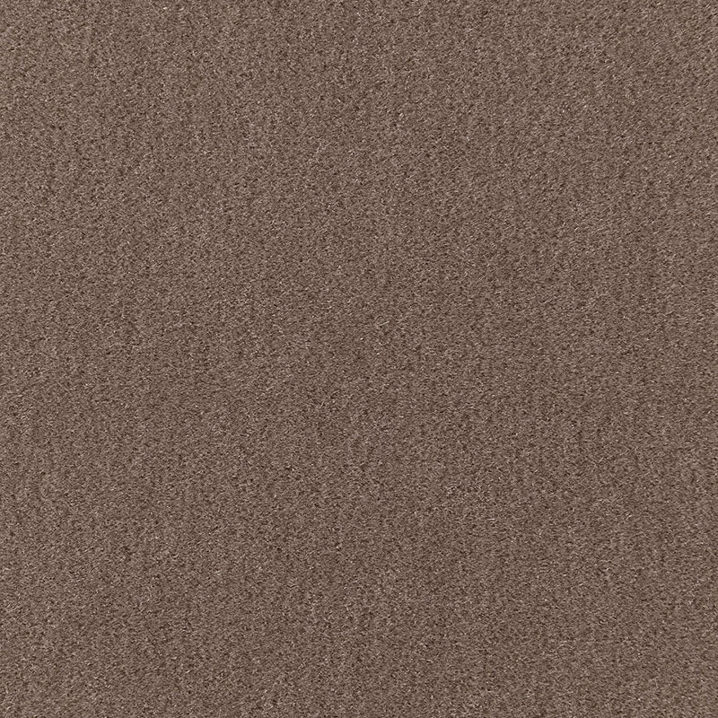 SCHUMACHER Perfect Basics: Velvet San Carlo Mohair Velvet VELVETS VELVETS Driftwood - 64868