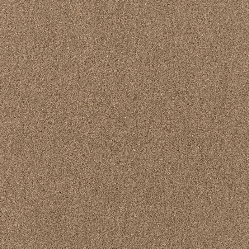 SCHUMACHER Perfect Basics: Velvet San Carlo Mohair Velvet VELVETS VELVETS Sparrow - 64885