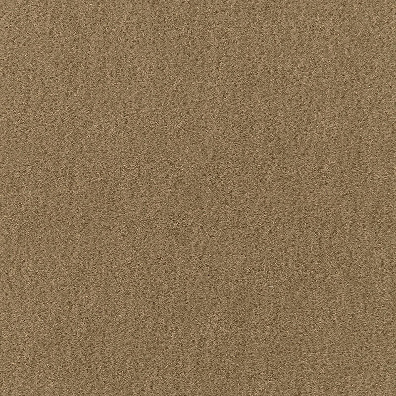 Warm beige sand-textured surface with fine granules, natural and earthy look.