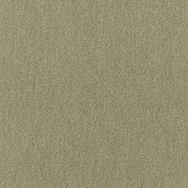 Beige suede-like fabric texture & soft, fine grain; close-up for upholstery or accessories.