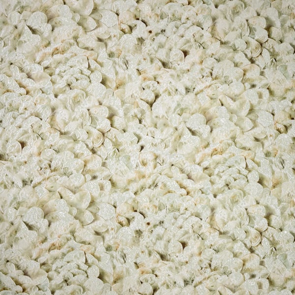 Galerie Wallcoverings Salt Wildflower Galerie Wallcoverings Beige - GH65304-23