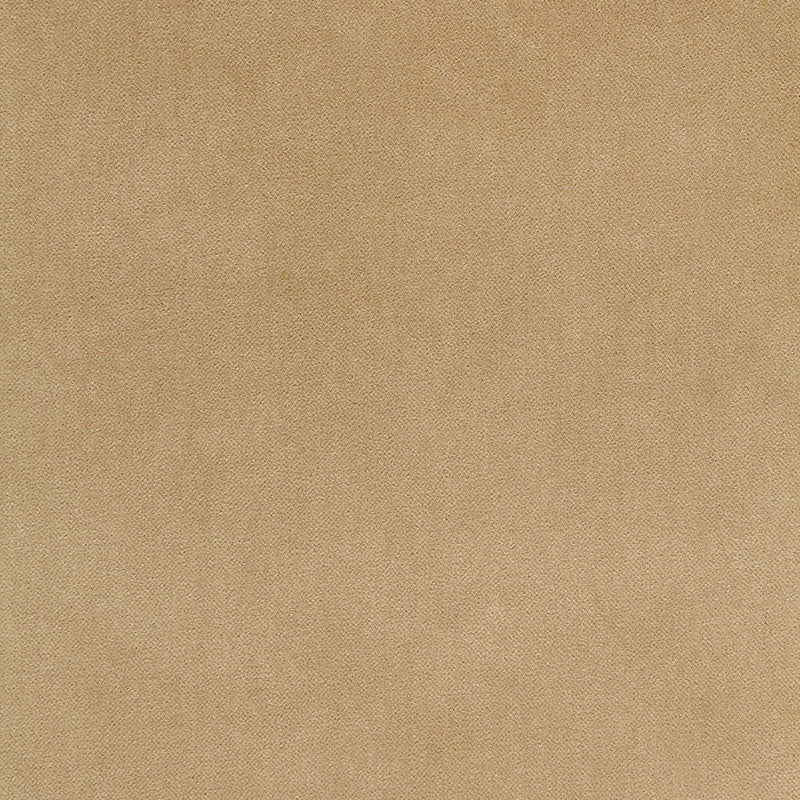 SCHUMACHER PERFECT BASICS: VELVET BAYEUX VELVET EMBROIDERIES EMBROIDERIES PUTTY - 65311