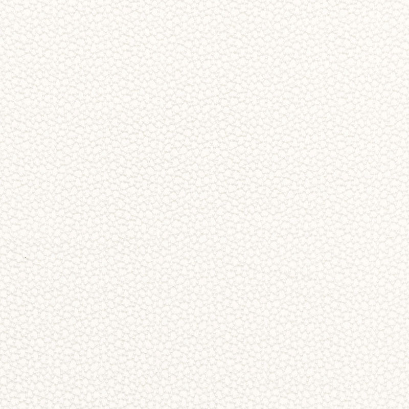 SCHUMACHER ESSENTIALS: SHEERS & CASEMENTS ROSSINI SHEER SHEERS & CASEMENTS SHEERS & CASEMENTS IVORY - 67660