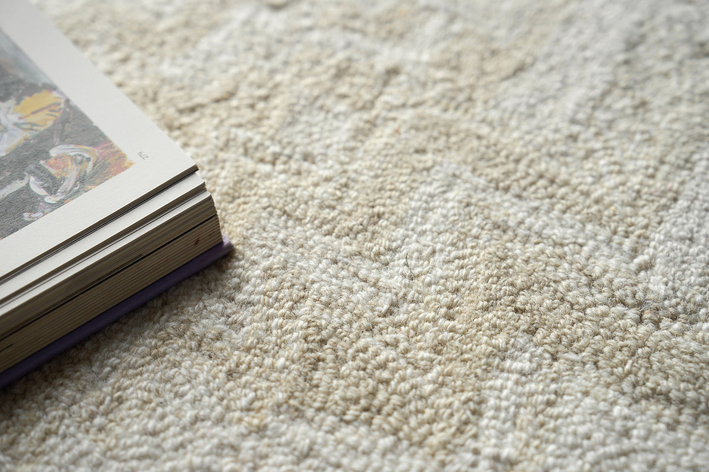 EXQUISITE RUGS Veneta Indoor Hand Tufted - 6774-4'X6'