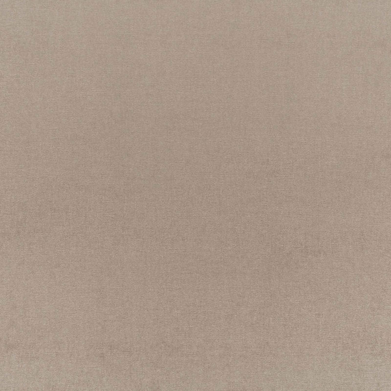SCHUMACHER PERFECT BASICS: VELVET SOPHIA VELVET VELVETS VELVETS TAUPE - 68158