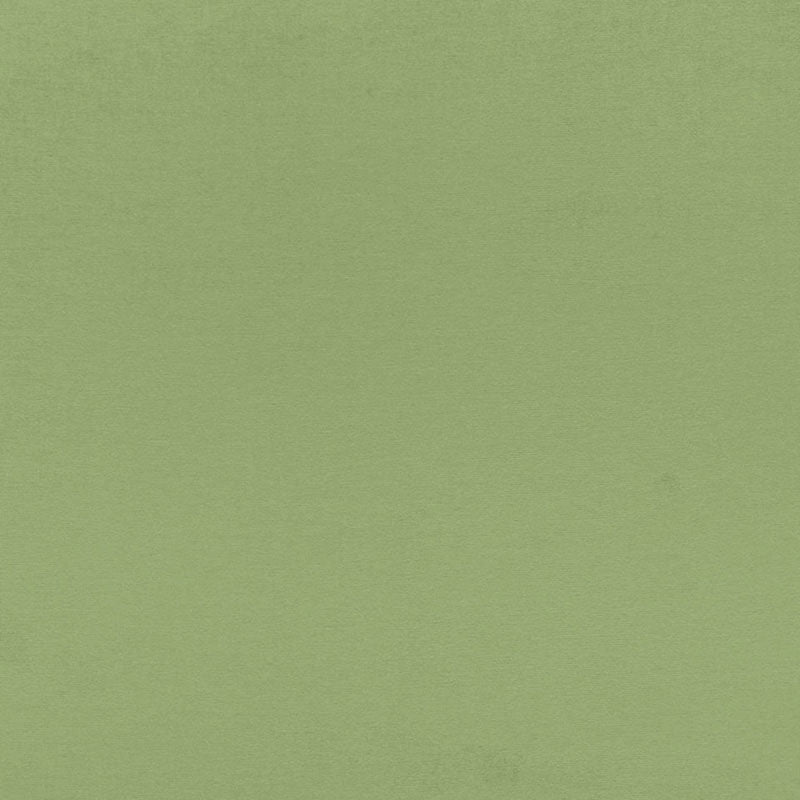 SCHUMACHER PERFECT BASICS: VELVET SOPHIA VELVET VELVETS VELVETS WILLOW - 68193