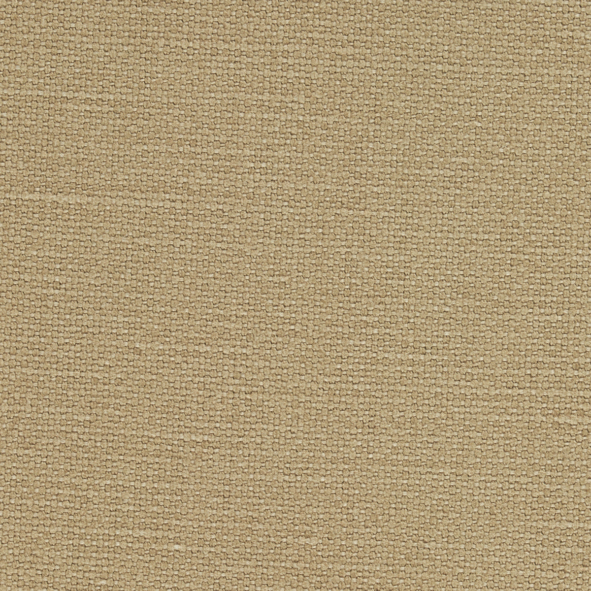 SCHUMACHER PERFECT BASICS: UNION LANGHAM HIGH PERFORMANCE UNION PLAINS,HIGH PERFORMANCE PLAINS,HIGH PERFORMANCE TAWNY - 69617