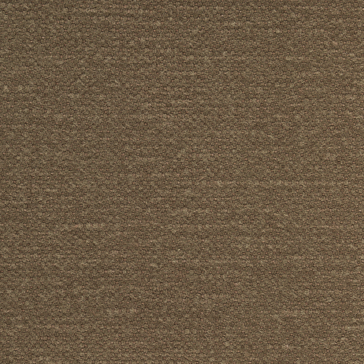 Brown loop-pile carpet texture with dense, earthy fibers for flooring.