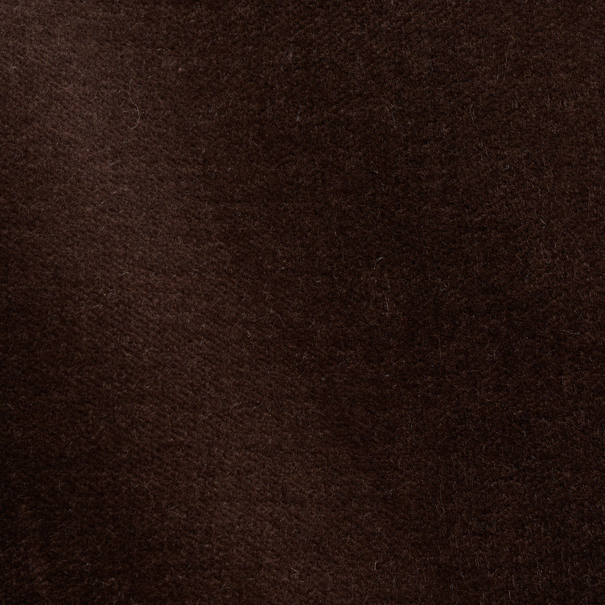 SCHUMACHER PERFECT BASICS: VELVET ROCKY PERFORMANCE VELVET VELVETS,HIGH PERFORMANCE VELVETS,HIGH PERFORMANCE ESPRESSO - 70466