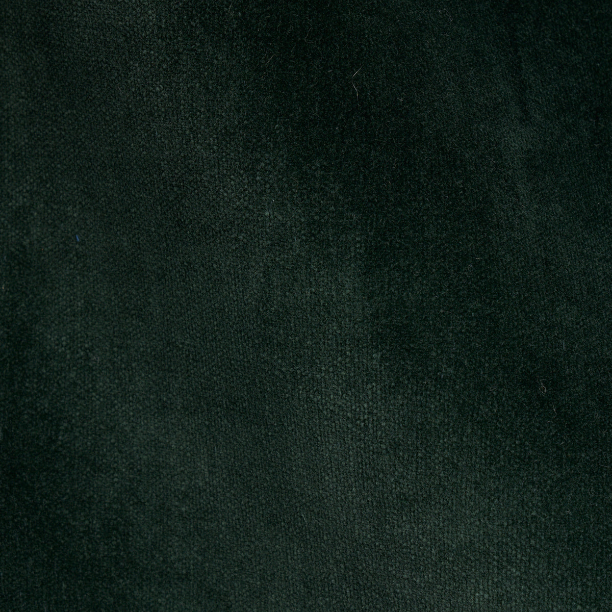 Dark green velvet fabric texture with soft pile and subtle sheen; great for upholstery or luxury apparel.