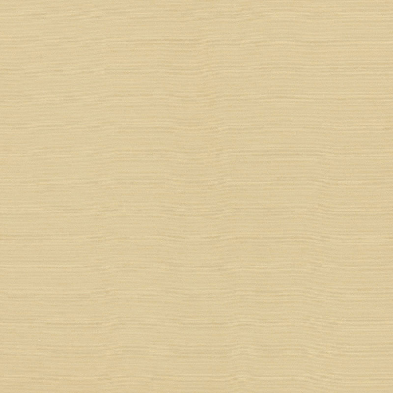 SCHUMACHER PERFECT BASICS: INDOOR/OUTDOOR LAMPEDUSA INDOOR/OUTDOOR PLAINS,INDOOR/OUTDOOR,HIGH PERFORMANCE PLAINS,INDOOR/OUTDOOR,HIGH PERFORMANCE ECRU - 70941