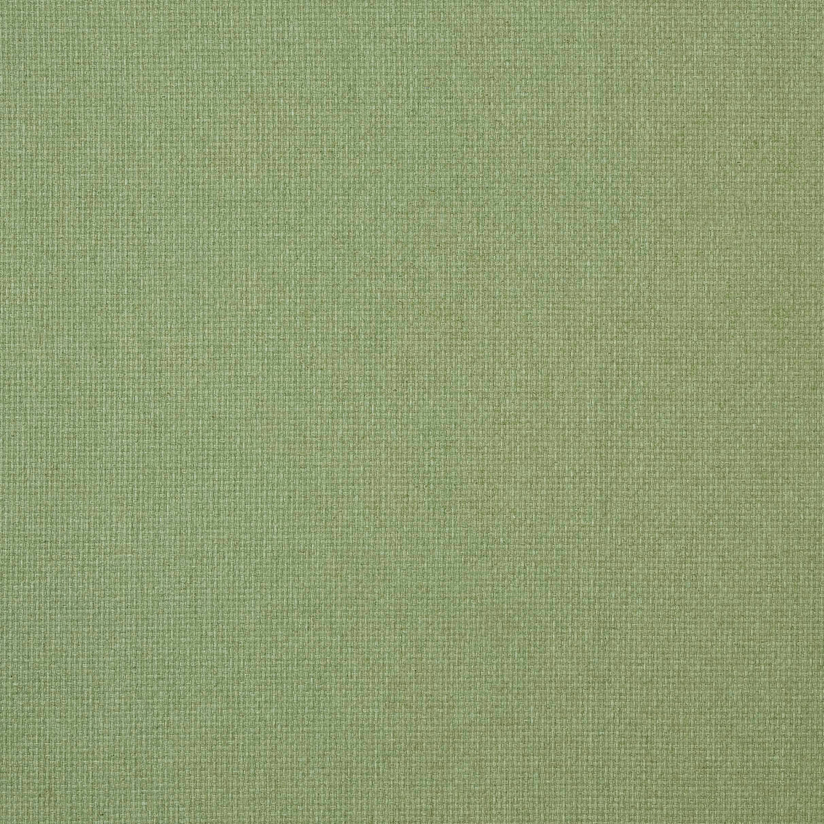 STOUT TEXTILES MULTIPURPOSE,WOVENS TRADITIONAL, TEXTURE GRASS - 7880-8