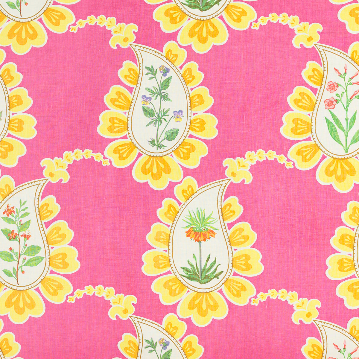 SCHUMACHER RAOUL TEXTILES BOMBAY BY RAOUL PRINTS PRINTS FUCHSIA - 804B83