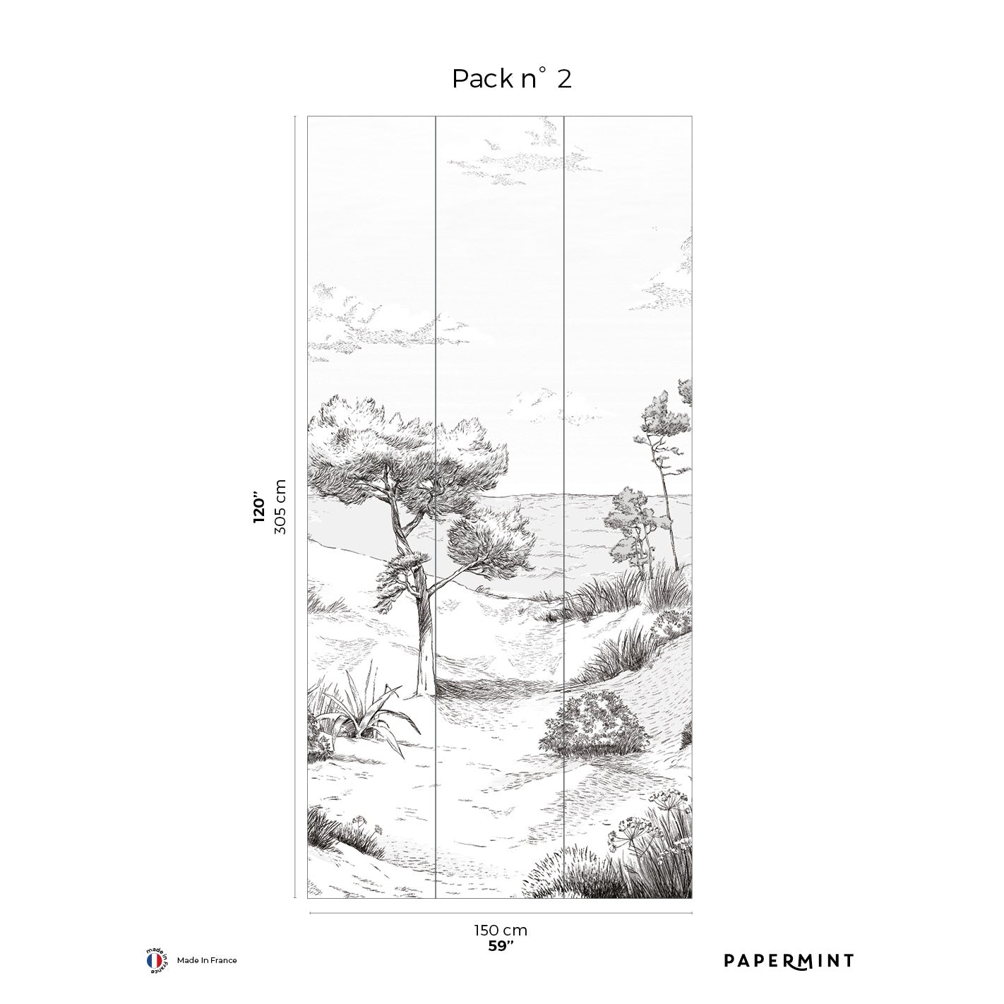 Veer Decor Wild Coast Pack 2 in Gray Wall Mural Landscape Mural Gray Mural - 8184-AR1-B