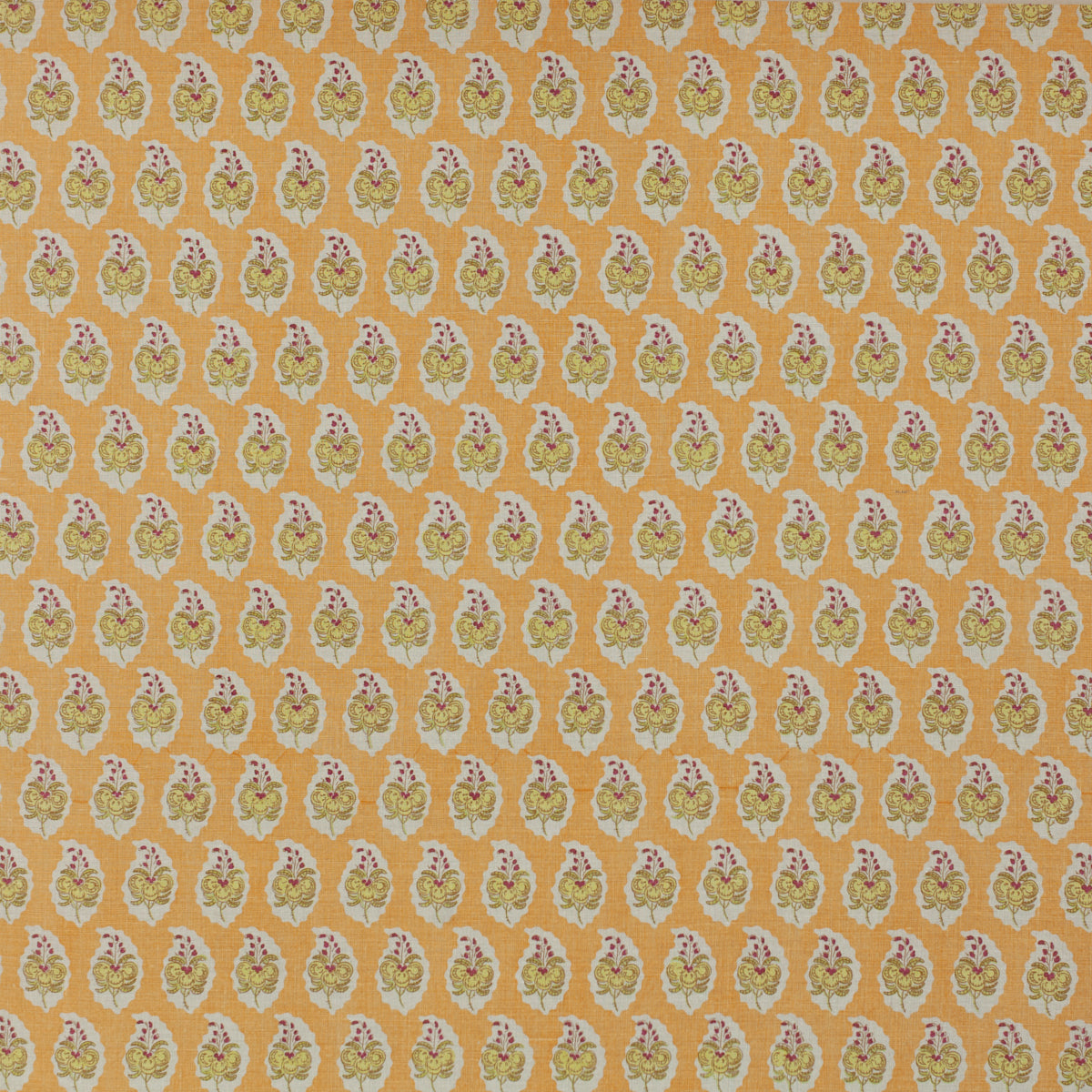 SCHUMACHER RAOUL TEXTILES PASHA PRINTS PRINTS LOQUAT - 818N85