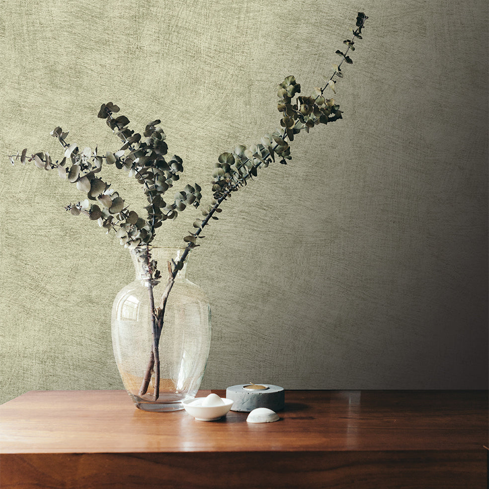 Veer Decor Pampas Plain Brushed Texture Misty Green Wallpaper Abstract Modern, Contemporary, Traditional Sage Wallpaper - 8250-AA6