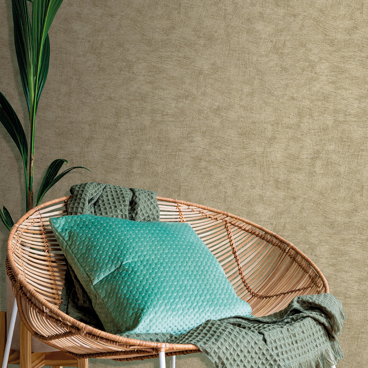 Veer Decor Pampas Plain Brushed Texture Olive Grey Wallpaper Abstract Modern, Contemporary, Traditional Sepia Wallpaper - 8250-AA8