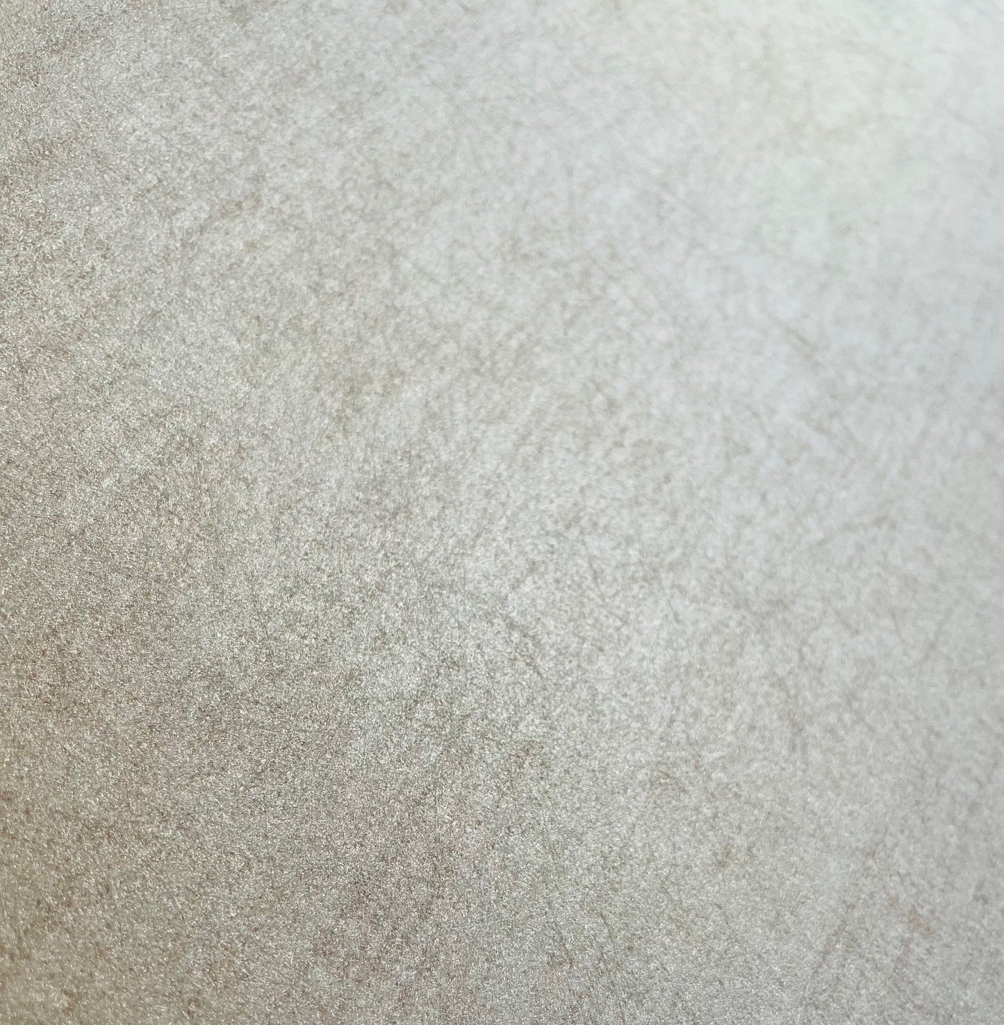 Veer Decor Papyrus Lux Cream Wallpaper Abstract Transitional Cream Wallpaper - 8251-AA1