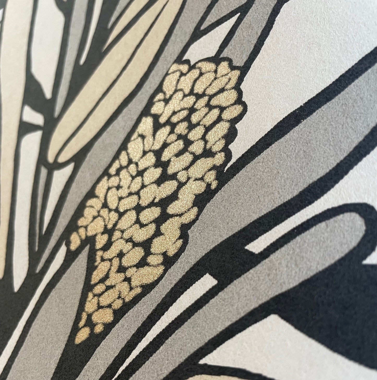 Veer Decor Fandango Bloom White and Grey Wallpaper Floral Mid Century, Transitional, Contemporary, Traditional White Wallpaper - 8251-AH1