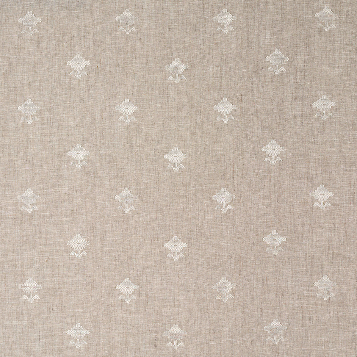 SCHUMACHER ESSENTIALS: SHEERS & CASEMENTS RUBIA SHEER SHEERS & CASEMENTS SHEERS & CASEMENTS NATURAL - 82552