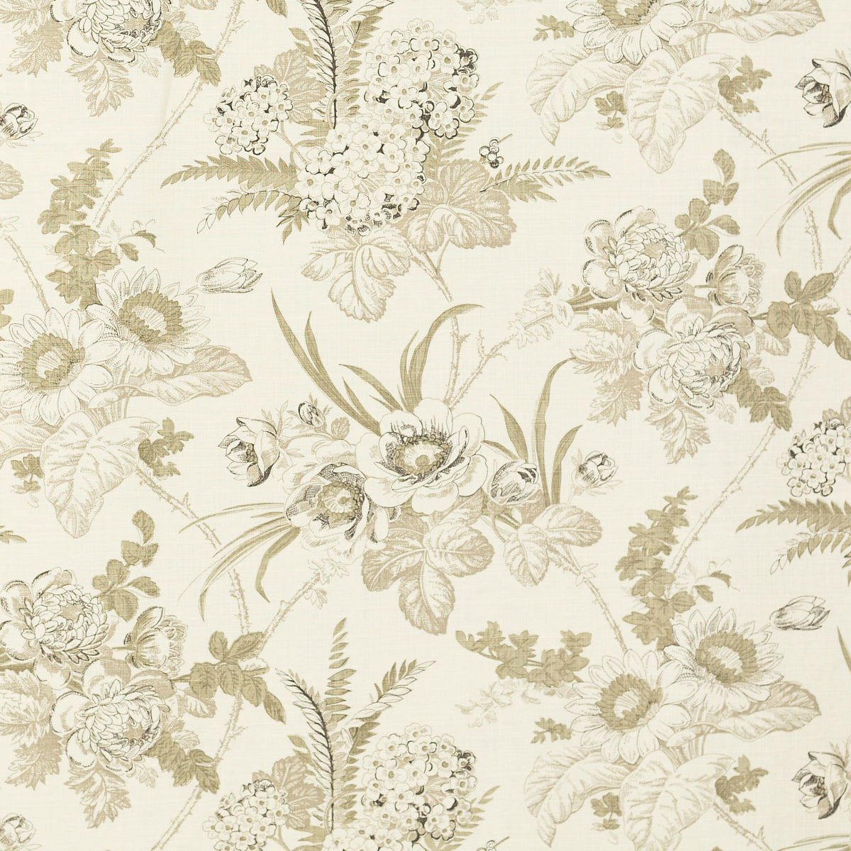 SCHUMACHER RAOUL TEXTILES AGATHA PRINTS PRINTS DRIFTWOOD - 827V95