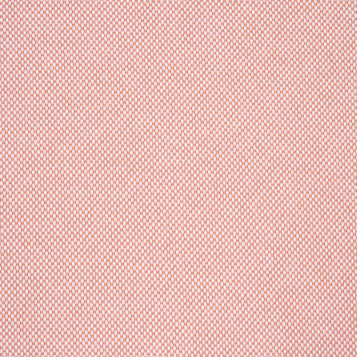 SCHUMACHER PERFECT BASICS: INDOOR/OUTDOOR PIPPA INDOOR/OUTDOOR WOVEN WOVEN PETAL - 84170