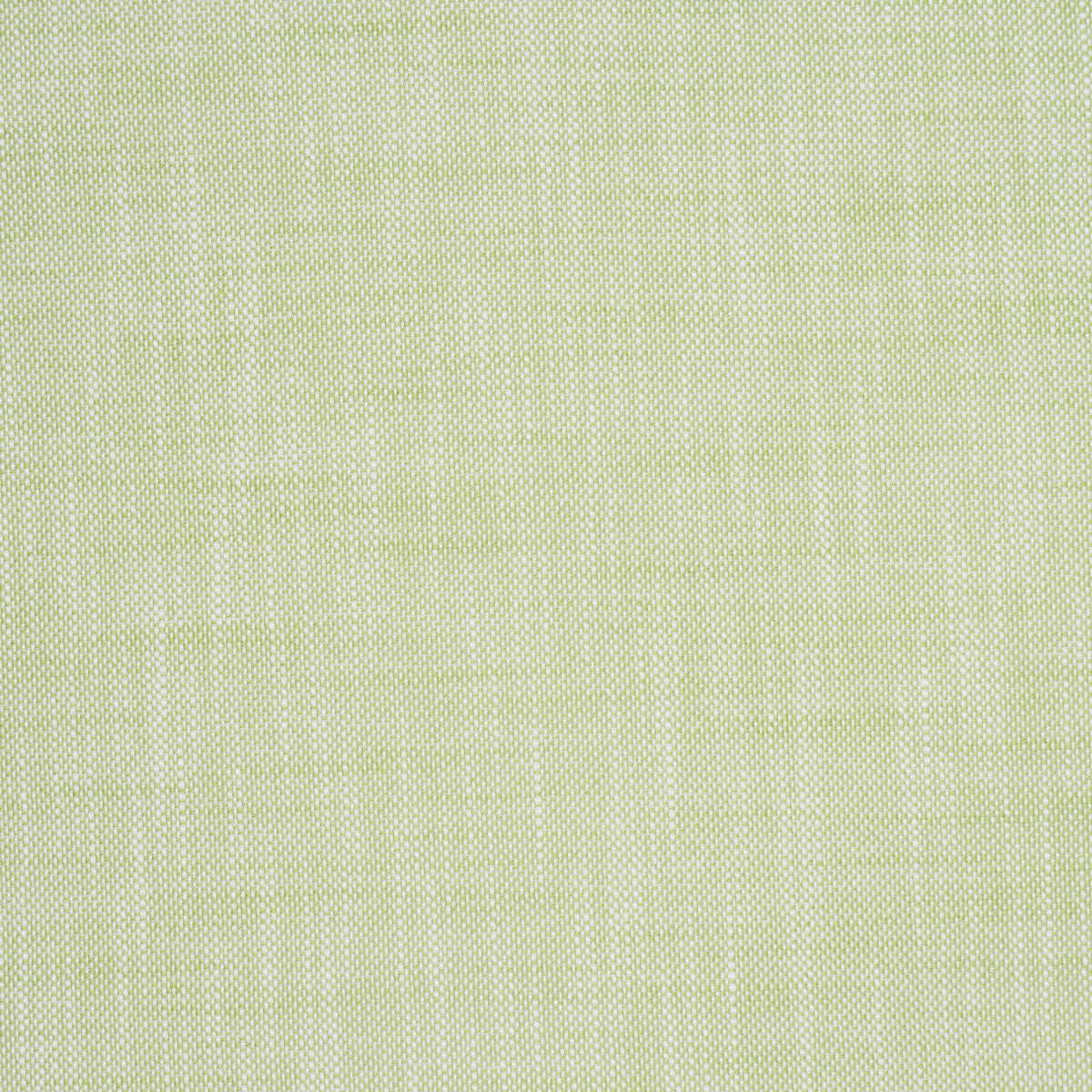 SCHUMACHER PERFECT BASICS: INDOOR/OUTDOOR SASHA INDOOR/OUTDOOR WOVEN WOVEN GREEN - 84232