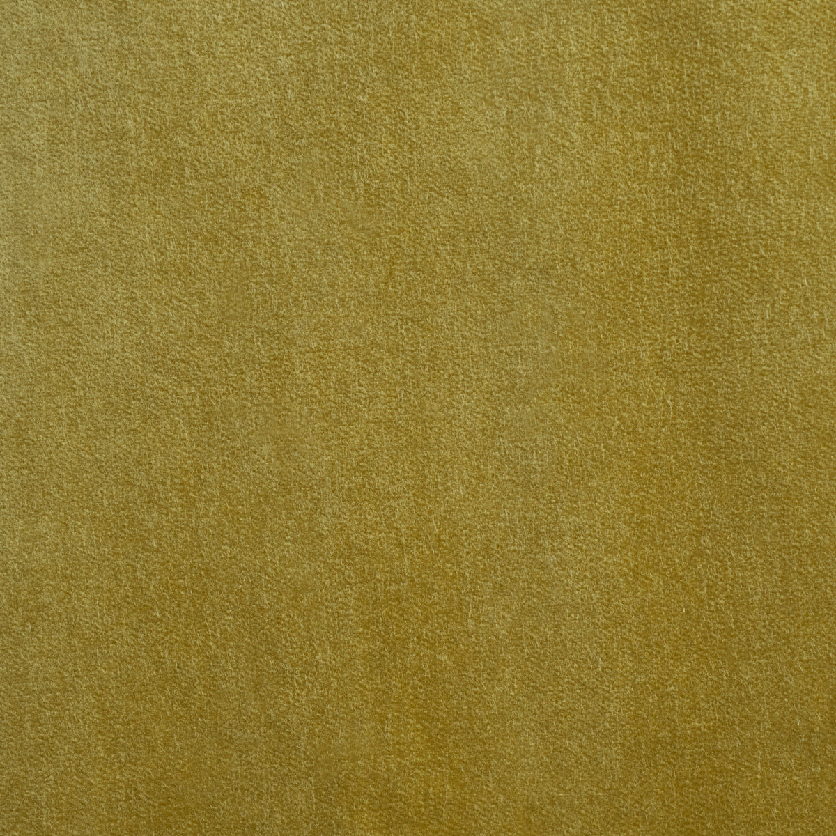 SCHUMACHER ATELIER PARIS ROCKY PERFORMANCE VELVET Celery - 86472