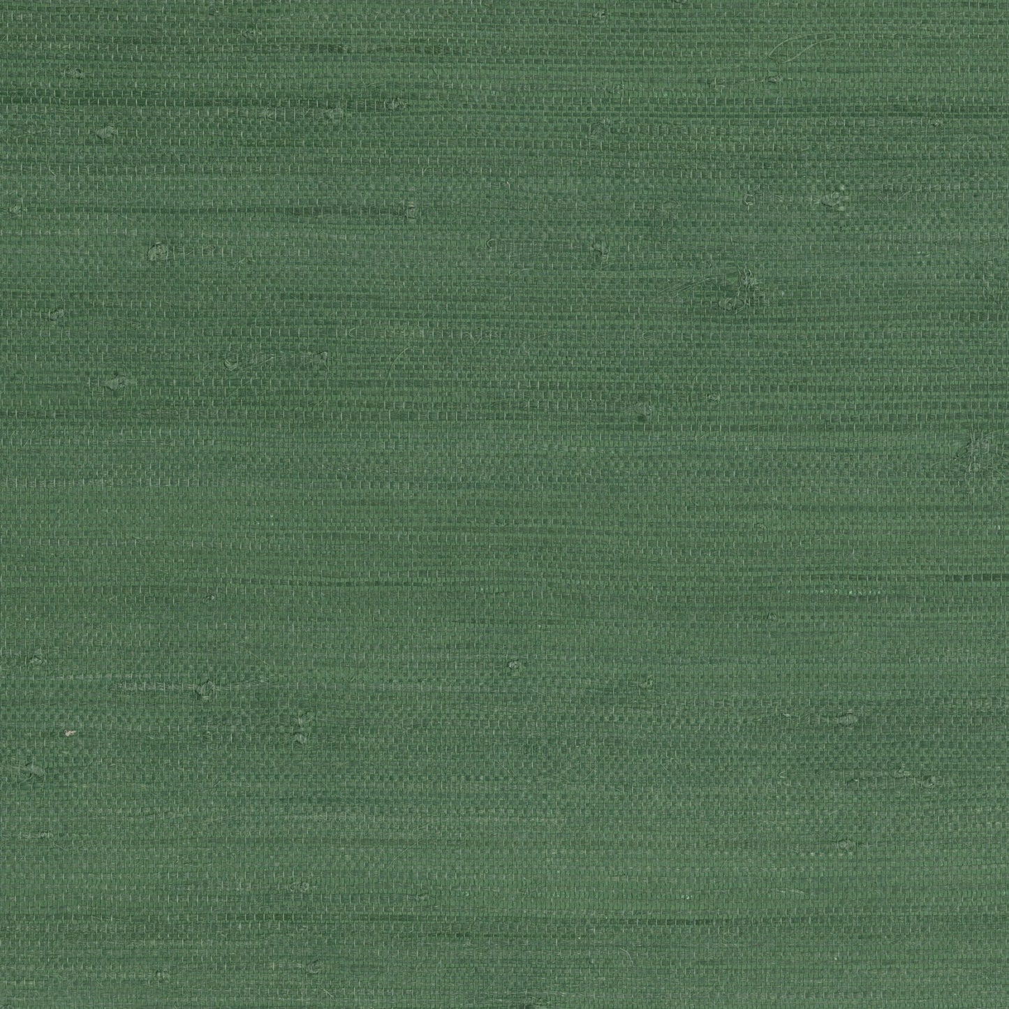 JF Fabrics -Wallpaper 9025 76 Wallpaper Green Texture,Grasscloth,Specialty - 8116276 WS121