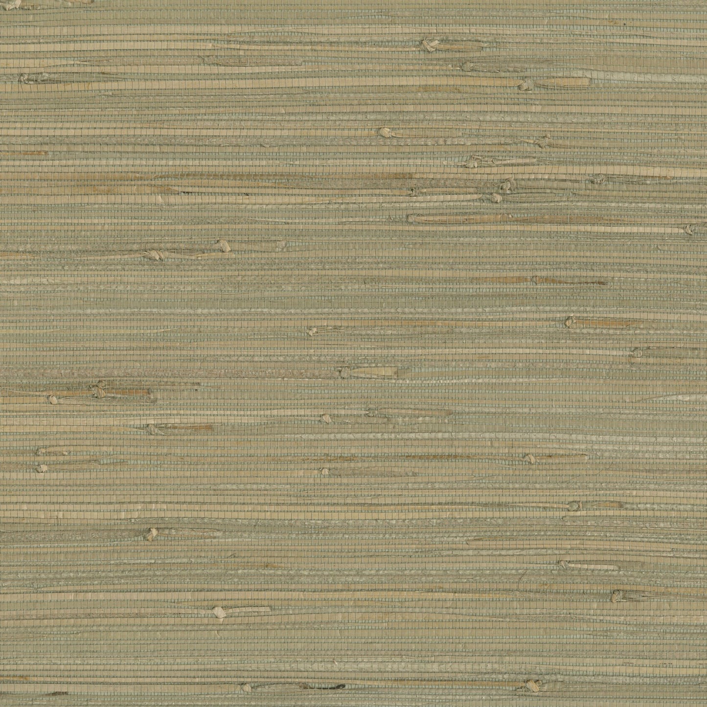JF Fabrics -Wallpaper 9026 73 Wallpaper Green Texture,Grasscloth,Specialty - 8116373 WS121