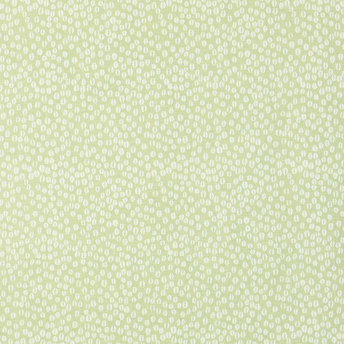 SCHUMACHER RAOUL TEXTILES COWRIE PRINTS PRINTS OLIVINE - 902V69