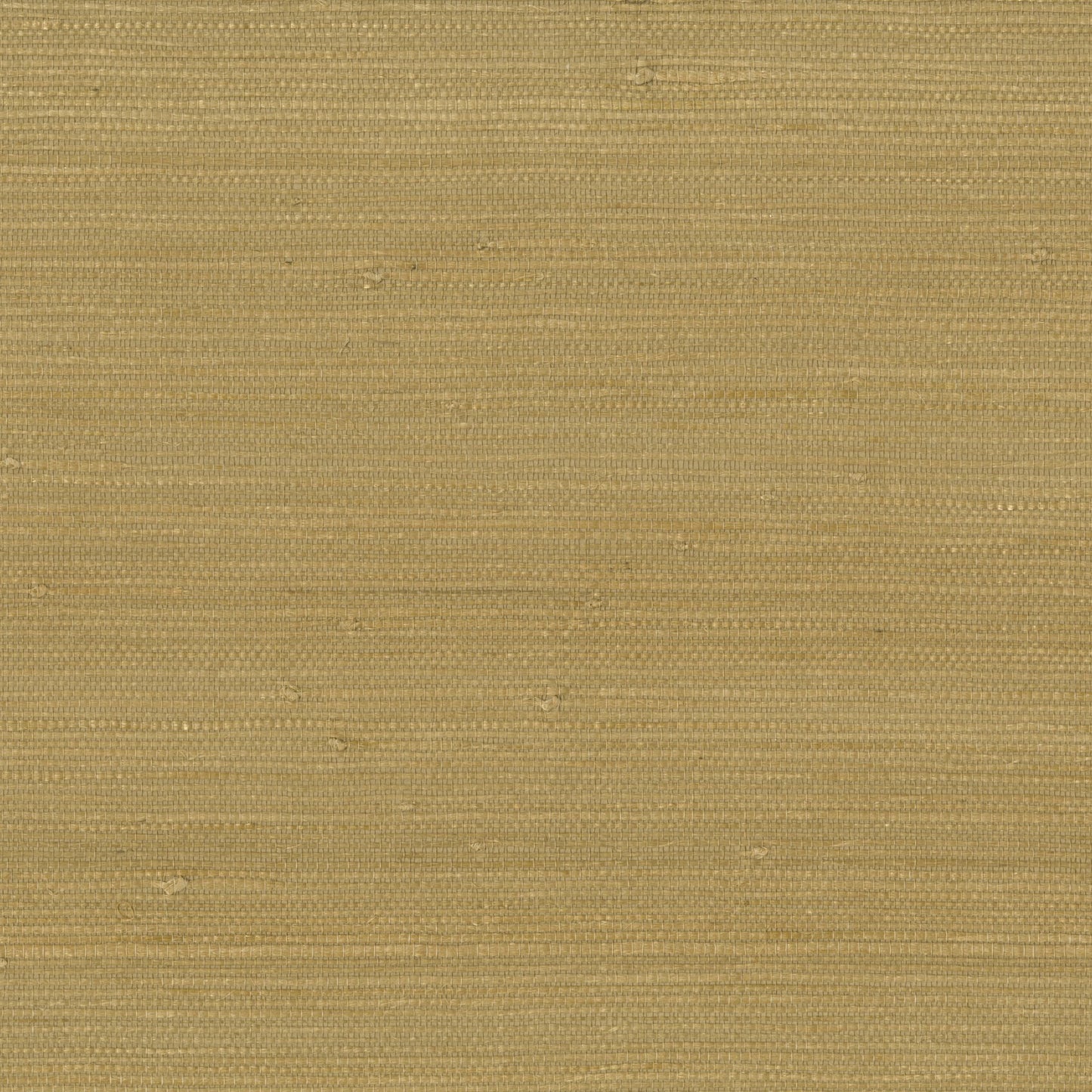 Golden beige grasscloth wallpaper with a woven texture, visible natural fibers, and subtle horizontal stripes.